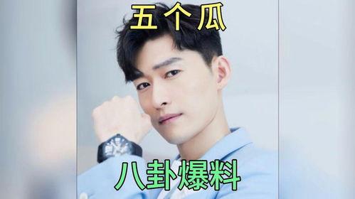娱乐圈吃瓜爆料文