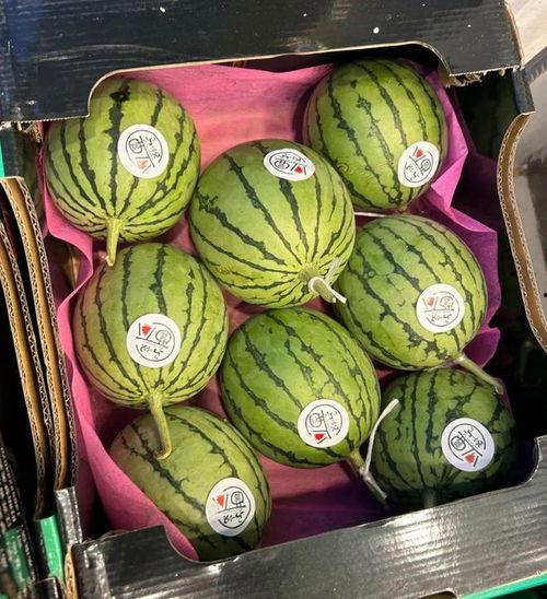 今日麒麟瓜价格最新,市场波动下的最新动态解析