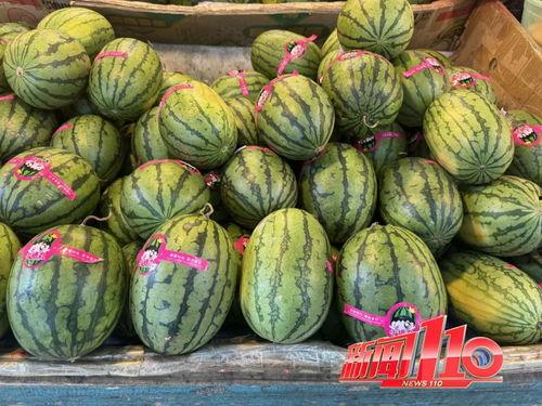 瓜爆料入口51cg吃瓜视频,揭秘娱乐圈最新瓜料，带你领略幕后风云