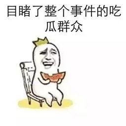 小逗逗今日吃瓜爆料,今日娱乐圈热点事件大追踪