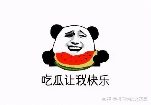 朝阳吃瓜群众今日吃瓜视频,今日热门吃瓜视频揭秘