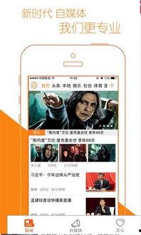 88福利视频,揭秘热门短视频平台的魅力与挑战