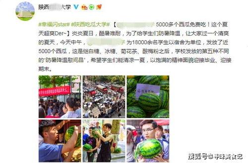 大学吃瓜爆料渠道,吃瓜爆料渠道全解析