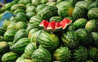 今日辛集吃瓜视频最新消息