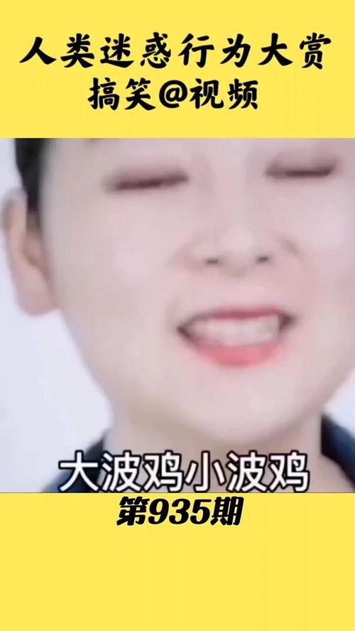 最搞笑的视频,笑到肚子疼！年度最搞笑视频大盘点