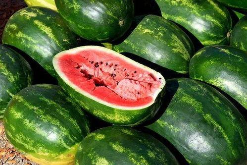 昆明今日鲜瓜价格,实惠与品质并存