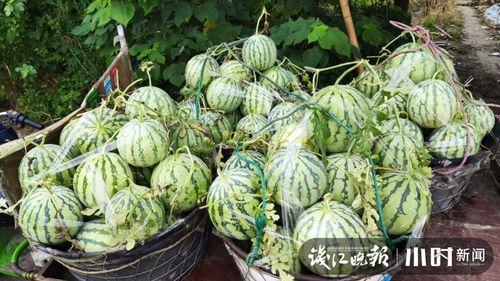 凉山吃瓜爆料是真的吗,真相揭秘，是真是假？