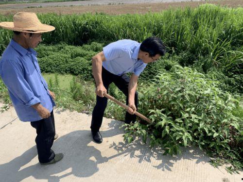 土瓜圩今日事件,真相与影响全解析