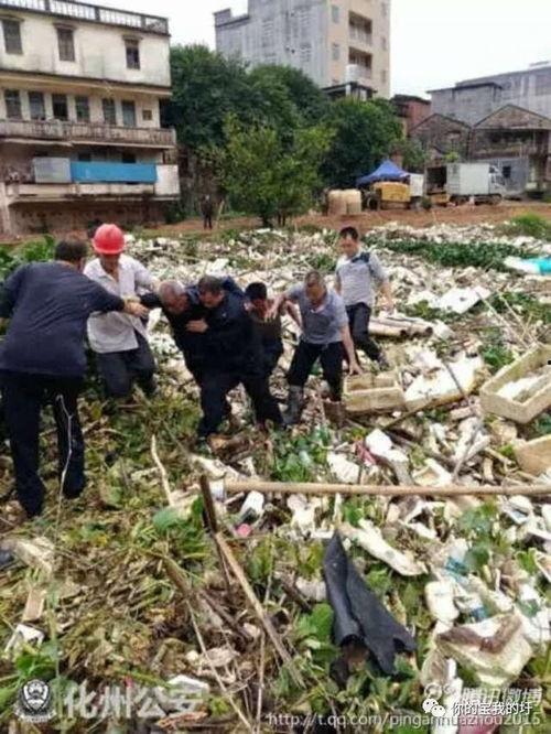 土瓜圩今日事件,真相与影响全解析