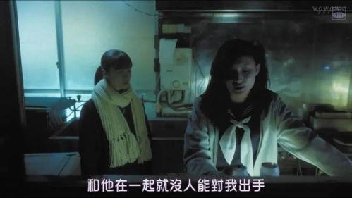 日本人日皮视频,网络红人如何成为文化现象