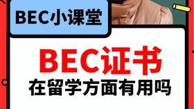 爆料吃瓜视频模板,吃瓜群众曝光惊天内幕，视频爆料引发全网热议！