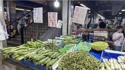 乳瓜批发市场今日报价,价格波动与市场动态一览