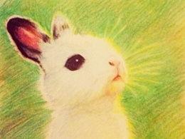 rabbit吃瓜爆料,娱乐圈幕后真相大揭秘