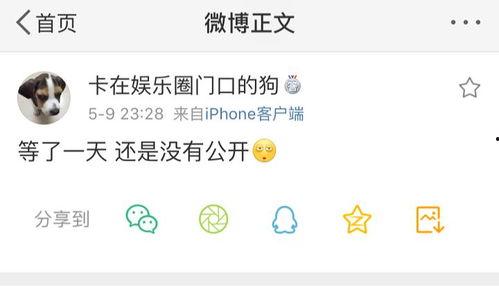 吃瓜爆料音,吃瓜爆料音背后的真相大起底