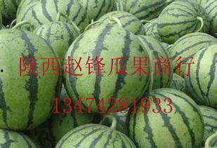 万邦哈密瓜批发市场今日价格表,价格行情一览