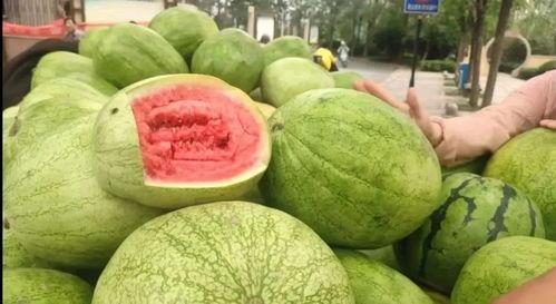 今日评瓜,热点事件深度解析