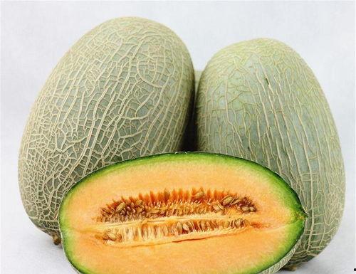 52吃瓜热门爆料,揭秘娱乐圈最新八卦风云