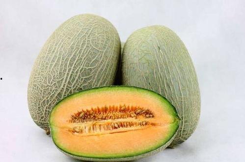 哈密瓜吃后嘴唇黑紫色,揭秘吃后嘴唇变紫的神秘现象