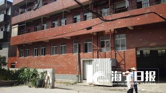 今日海宁许村的瓜,海宁特色瓜果的甜蜜诱惑”