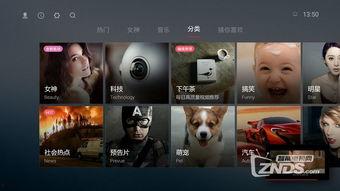 视频1,揭秘XX领域的创新突破与未来展望
