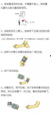 量血压的正确方法视频