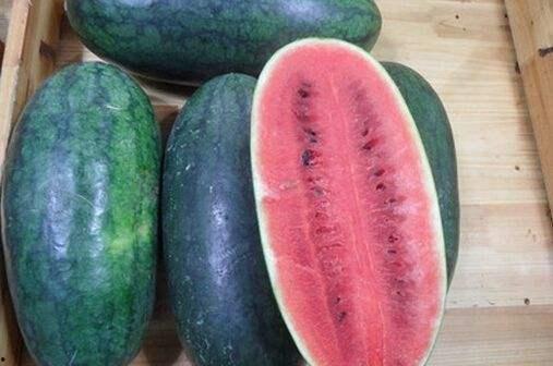 吃瓜官网黑,黑科技打造全新娱乐体验