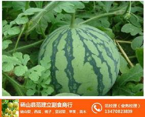 砀山小白瓜今日 价格行情,涨跌波动，市场动态一览