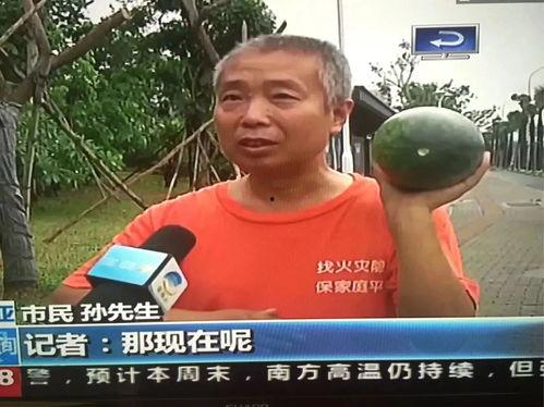 今日热门吃瓜事件是真的吗