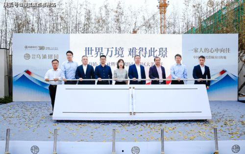 茄瓜行情今日最新消息,今日最新行情解析