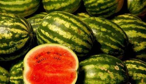 哪里有吃瓜不吹不黑的,哪里有吃瓜不吹不黑的真相呈现