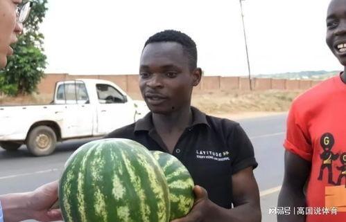 哪里有吃瓜不吹不黑的,哪里有吃瓜不吹不黑的真相呈现