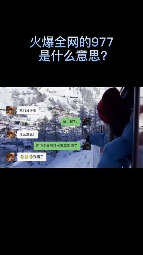 977视频,揭秘热门短视频背后的故事与魅力