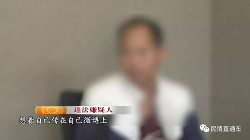 黄色微视频,网络短视频的隐秘世界