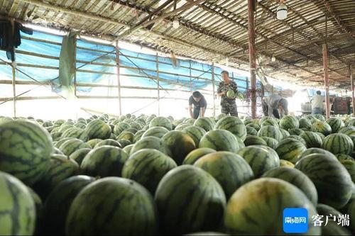 今日有瓜什么意思,一网打尽娱乐圈最新动态