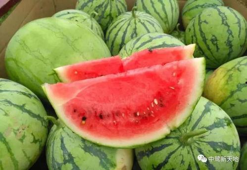 今日吃瓜 网红吃瓜图片,今日热门话题一网打尽！”