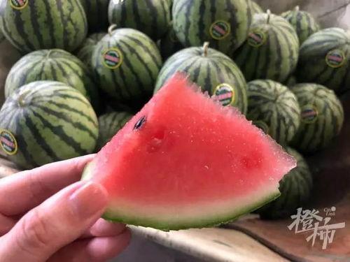 秘密通道黑料吃瓜,黑料瓜田里的真相追踪