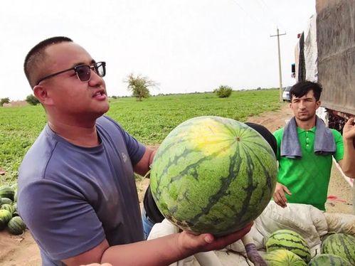 大漠瓜客吃瓜爆料,瓜界风云再起，吃瓜爆料引热议