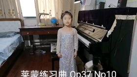 性过程三级视频视频,揭秘人体生理奥秘