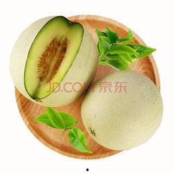 今日海阳网纹瓜价格,今日行情一览