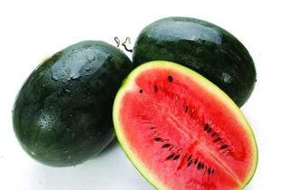 奇葩汇总黑料吃瓜,盘点那些让人瞠目结舌的奇葩黑料大揭秘