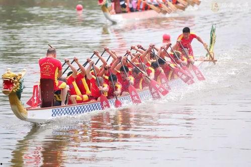 划龙舟比赛视频
