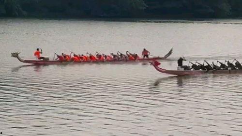划龙舟比赛视频