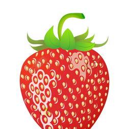 草莓视频免费,畅享短视频盛宴