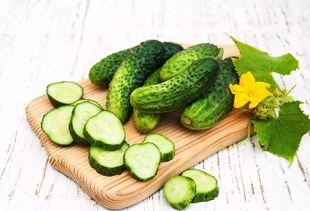 吃瓜群众黄瓜爆料视频大全,黄瓜爆料视频大全精彩回顾