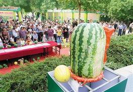 今日大瓜 每日大赛往期