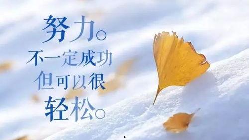 今日摘瓜文案句子简短励志,今日启航