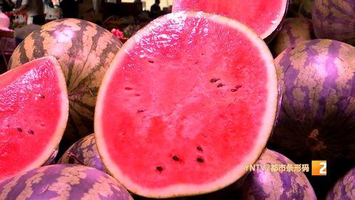 雷州麒麟瓜今日行情,价格波动与市场动态一览”