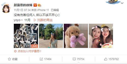 今日文案吃瓜少女啥意思,网络热词背后的文化现象