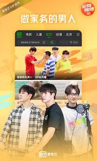 爱奇艺视频官网,探索海量影视资源，尽享视听盛宴