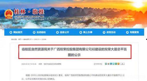 临桂机会视频完整版,视频完整版深度解析